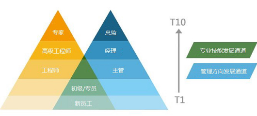 职位晋升通道